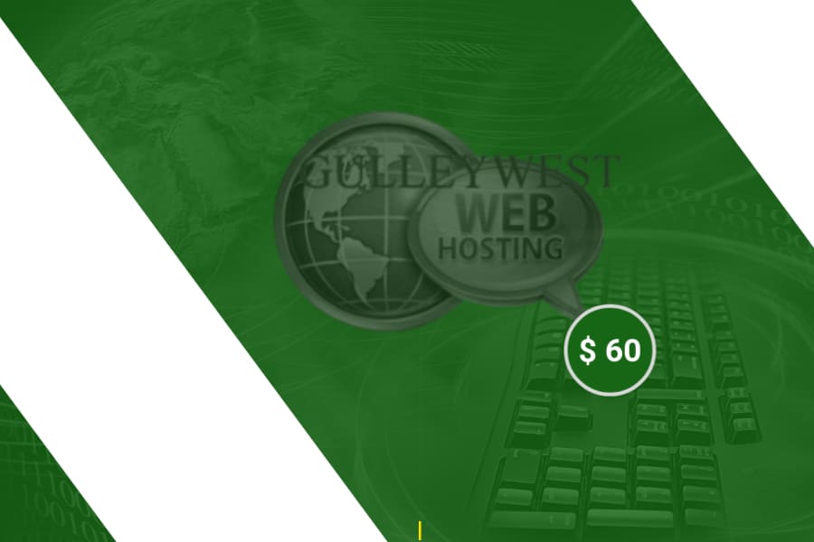 Website Hosting Banner